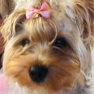 Meet your Posher, Tamra